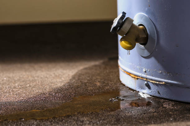 Best Ceiling water damage repair  in Port Huron, MI