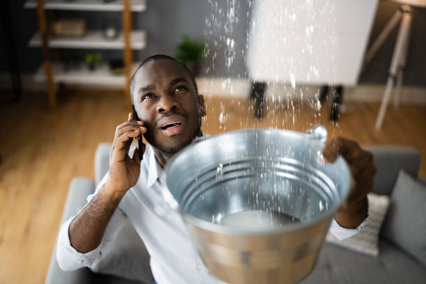 Best Emergency water damage restoration  in Port Huron, MI