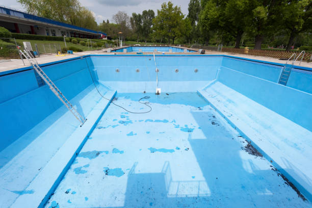 Best Carpet water damage restoration  in Port Huron, MI