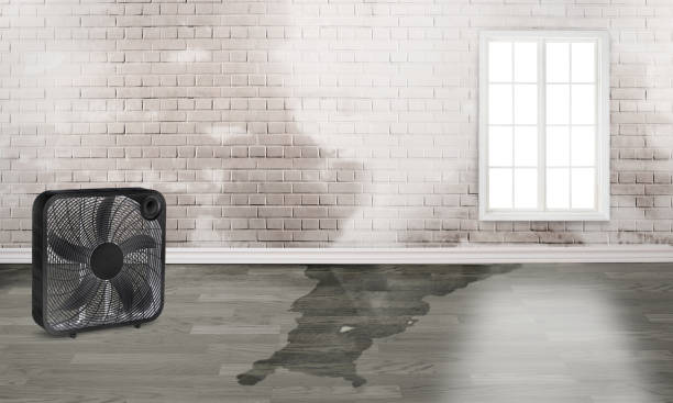 Best 24/7 water damage repair  in Port Huron, MI