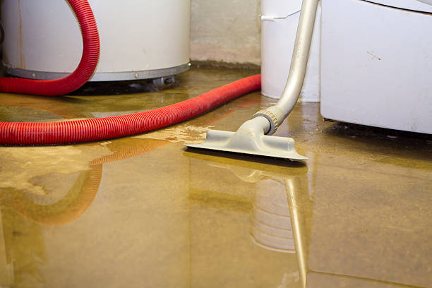Best Flooded house restoration  in Port Huron, MI
